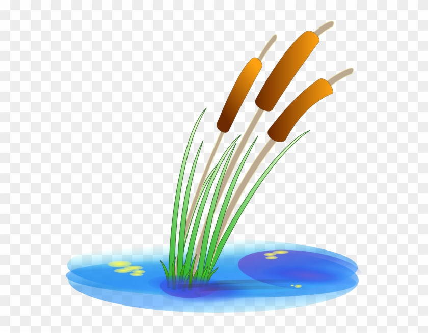 Pond Clip Art - Quenouille Clipart #240616