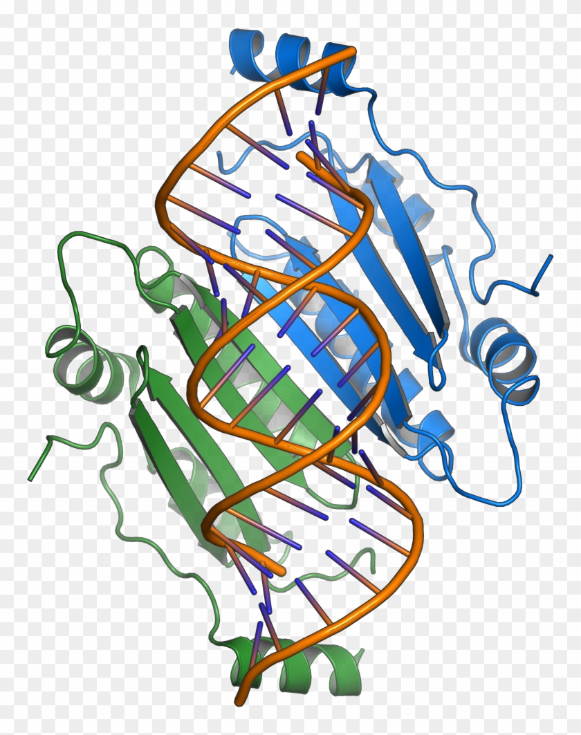 Clip Art #240754