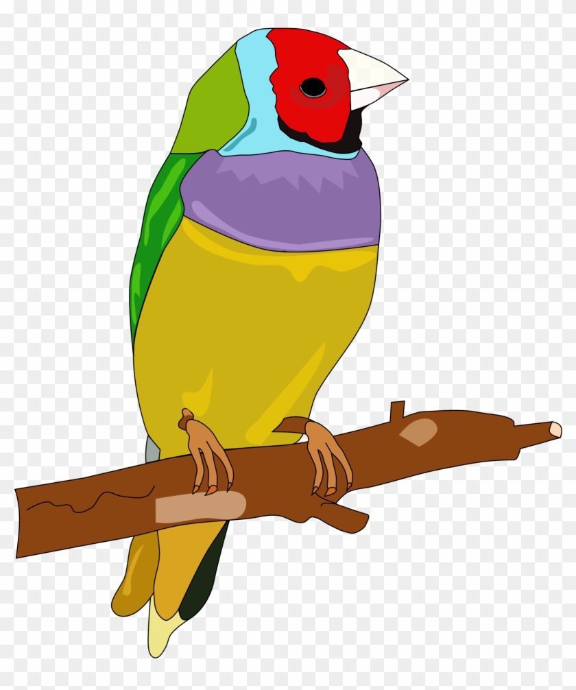 Clipart - Passerine #240809