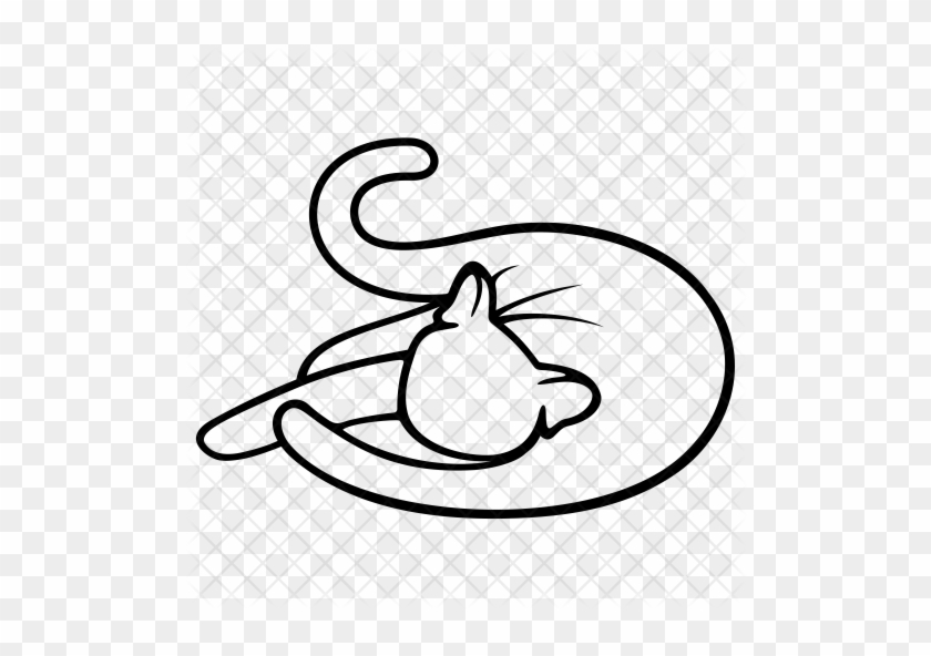 Cat Icon - Icon #241029