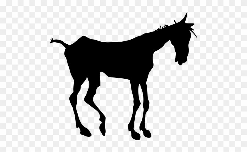 Horse Head Clipart - Silueta Vector Cabeza Burro #241109