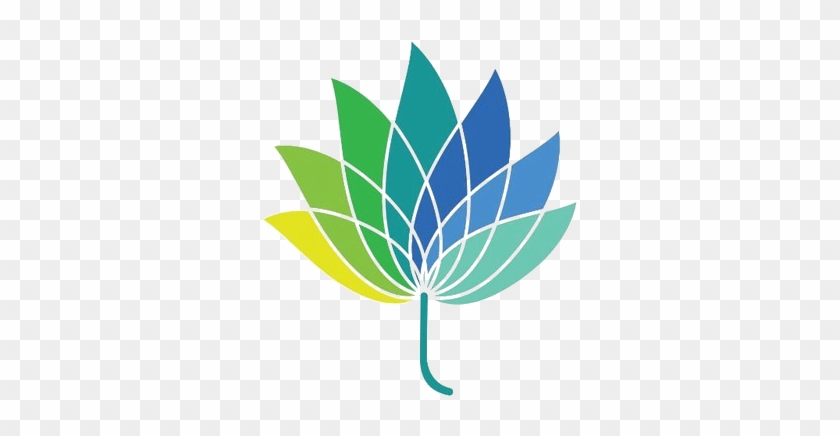 Orion Nutraceuticals Inc - Orion Nutraceuticals Inc #1532206