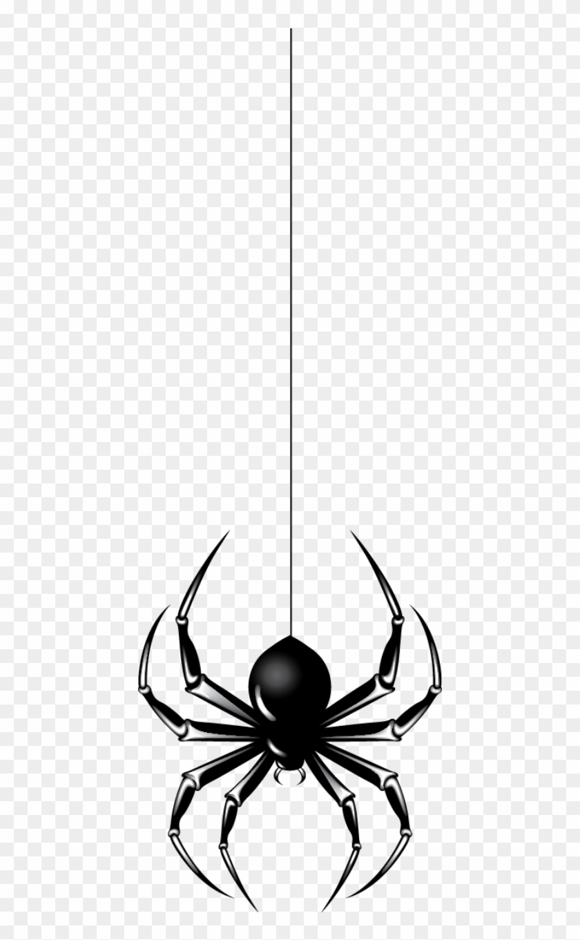Halloween Spider Png File - Halloween Spider Png File #1532257