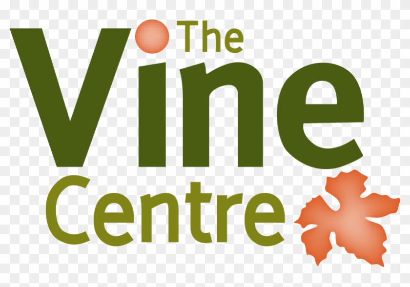 The Vine Centre - The Vine Centre #1533513