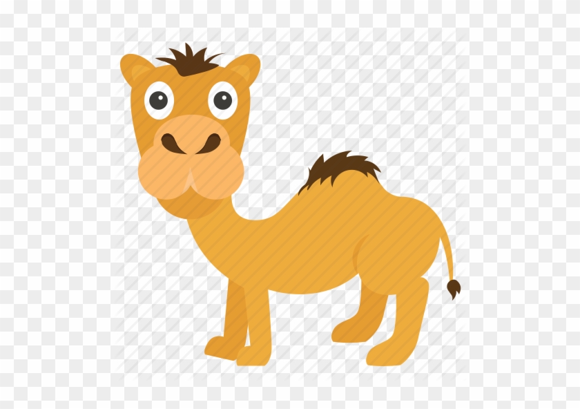 Animal Dromedary Egyptian Icon - Animal Dromedary Egyptian Icon #1533517