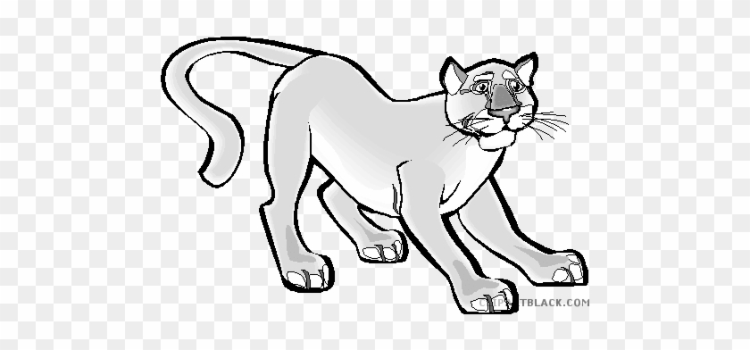 Clipart Black And White Download Cougar Clipart - Clipart Black And White Download Cougar Clipart #1534038