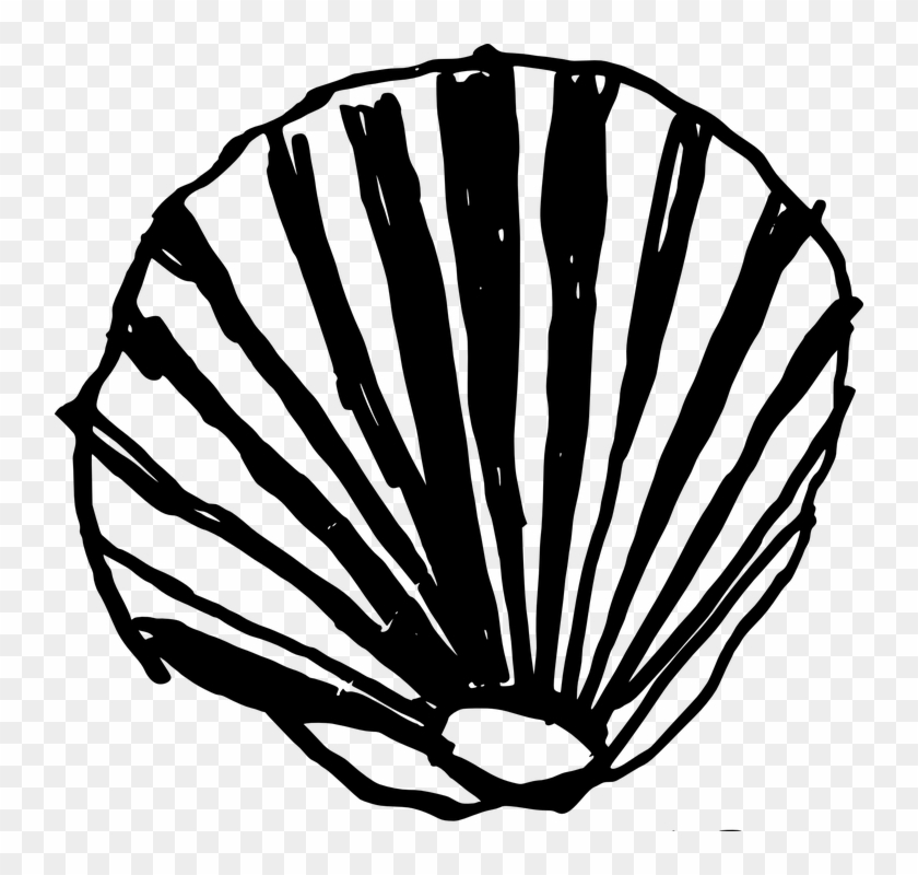 Oyster Clipart Fossil Shell - Oyster Clipart Fossil Shell #1534090