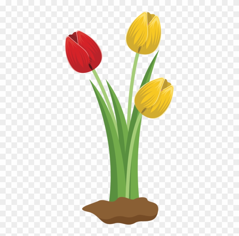 All Photo Png Clipart - All Photo Png Clipart #1534517