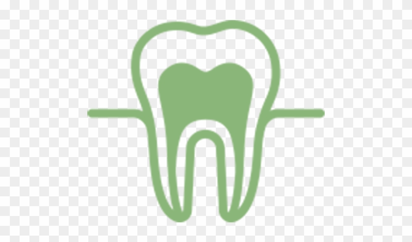 The Anatomy Of A Tooth - The Anatomy Of A Tooth #1534881