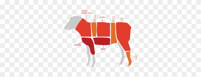 Lamb - Lamb #1535502