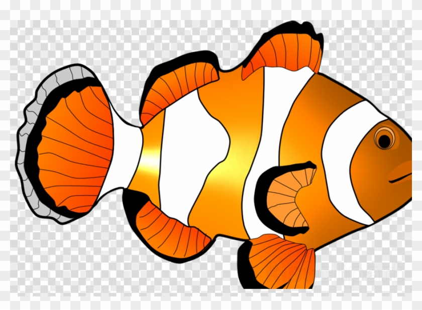 Fish Clipart Clownfish Clip Art - Fish Clipart Clownfish Clip Art #1535768