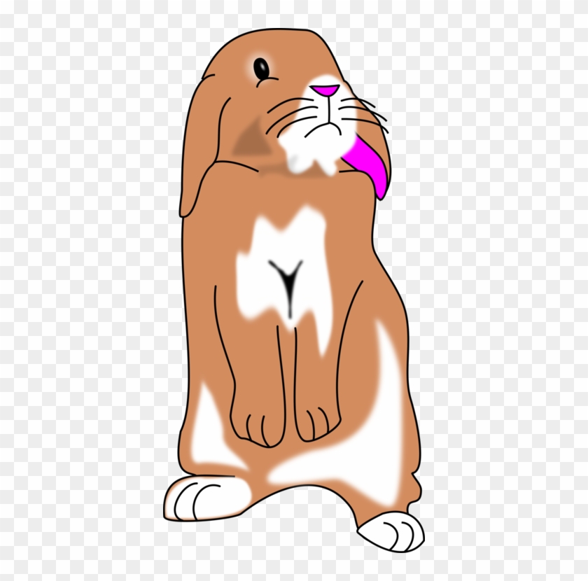 Hare Domestic Rabbit Sad - Hare Domestic Rabbit Sad #1536104