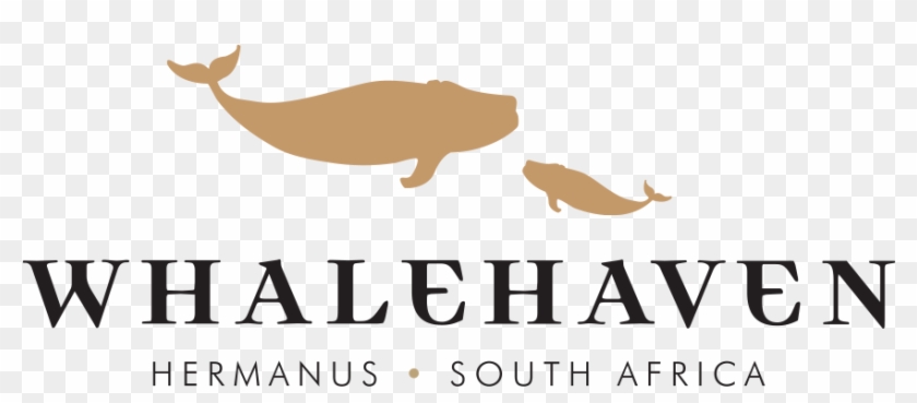 Whalehaven Wines Whalehaven Wines - Whalehaven Wines Whalehaven Wines #1536213