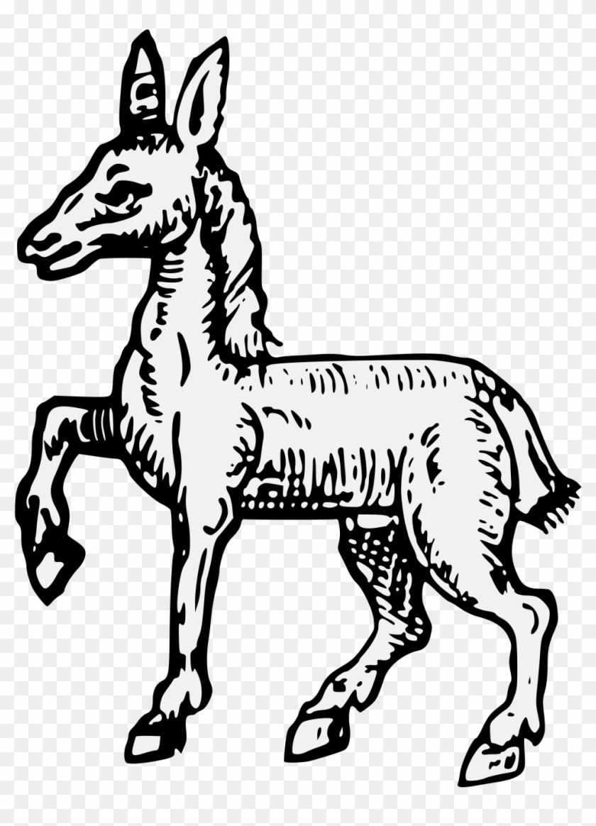 Ass Passant - Ass Passant #1536437