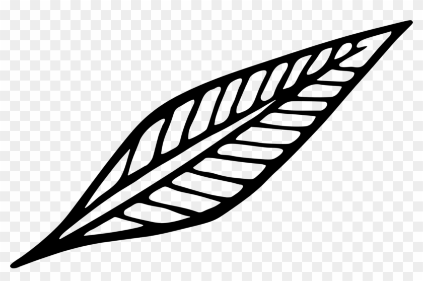 All Photo Png Clipart - All Photo Png Clipart #1536595