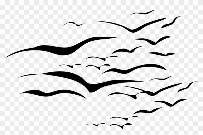 Sky Clipart Bird - Sky Clipart Bird #1536716