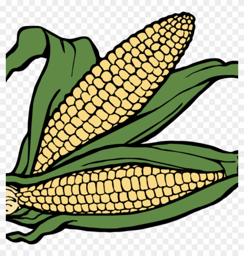 Corn Clipart Corn Clip Art Clipart Panda Free Clipart - Corn Clipart Corn Clip Art Clipart Panda Free Clipart #1537091