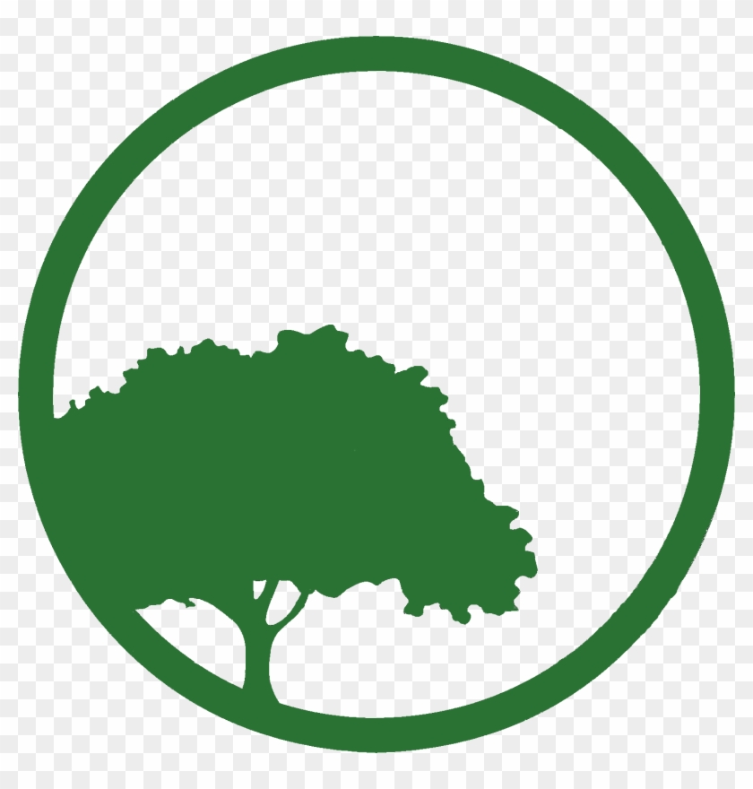Arbor Construction - Arbor Construction #1537492