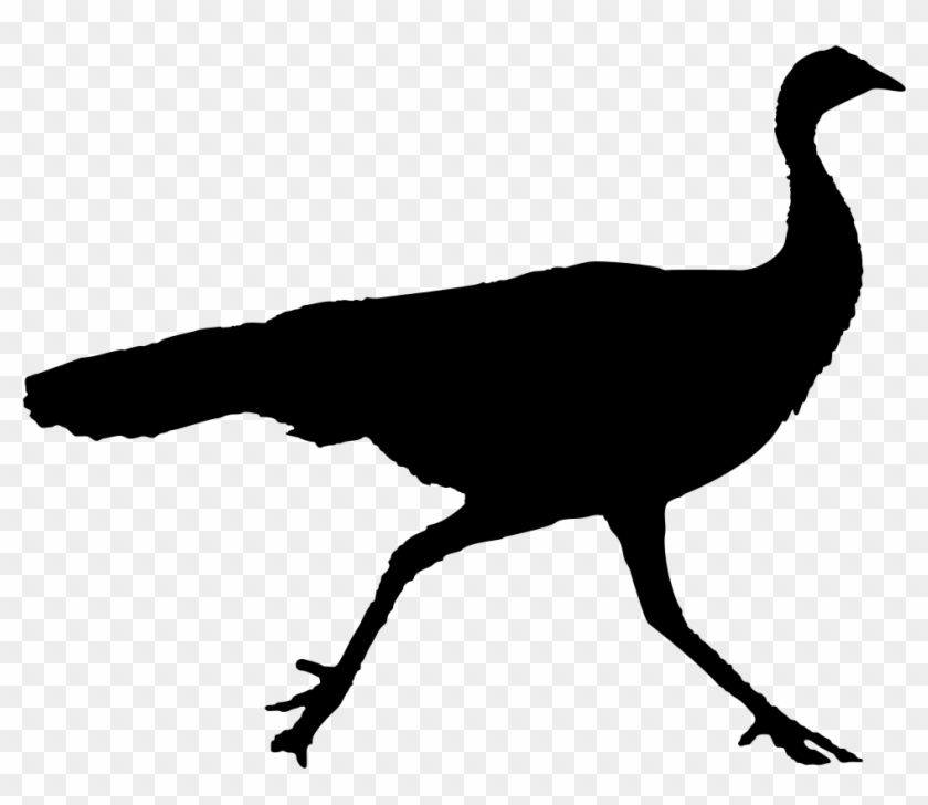 Turkey Clip Art Wild Turkey - Turkey Clip Art Wild Turkey #1537547