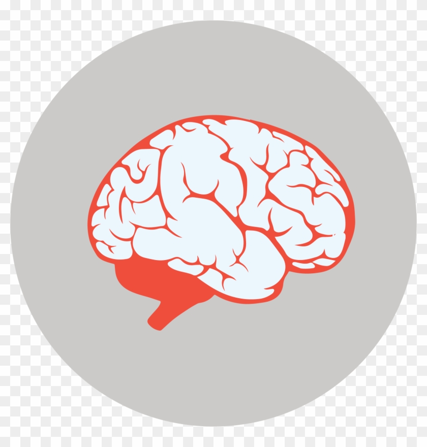 Preventing The Summer Brain Drain - Preventing The Summer Brain Drain #1537581