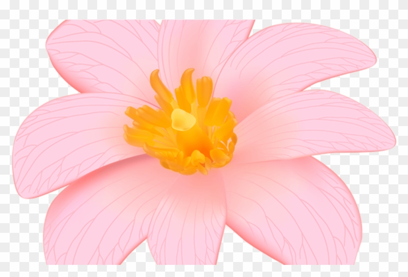 Pin By Hasan Jutt On Flower Designes Pinterest Flower - Pin By Hasan Jutt On Flower Designes Pinterest Flower #1537915