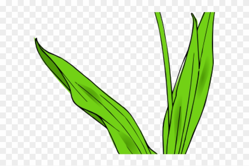 Tulip Clipart Object - Tulip Clipart Object #1538658