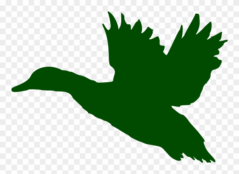 Come Hunt With Us - Come Hunt With Us #1538664