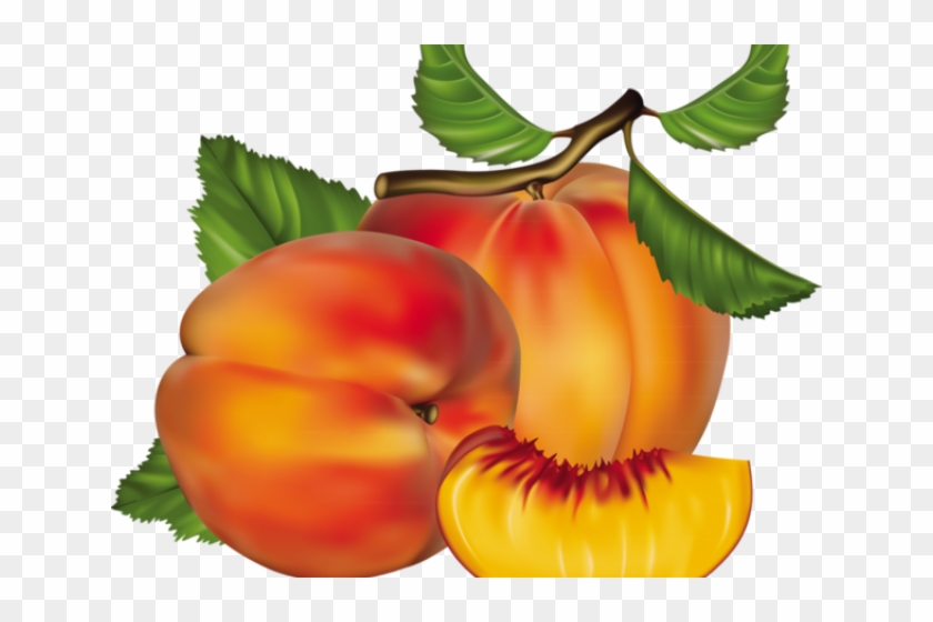 Peach Clipart Peach Pit - Peach Clipart Peach Pit #1539206