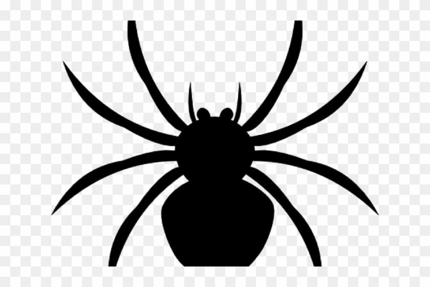 Spiders Cliparts - Spiders Cliparts #1541310