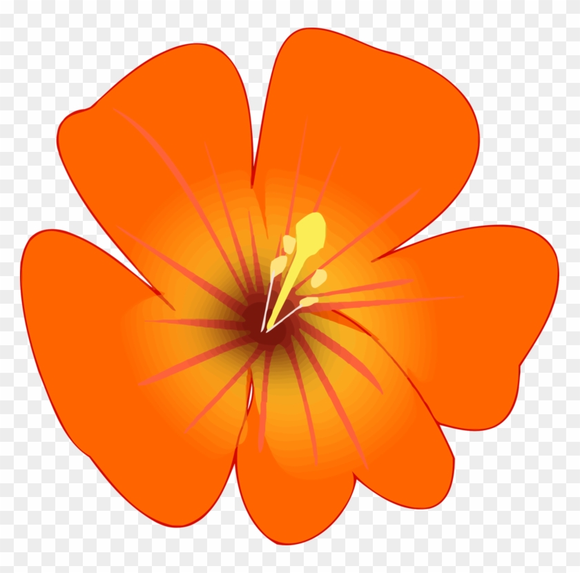 Rosemallows Flower Petal Plants Herbaceous Plant - Rosemallows Flower Petal Plants Herbaceous Plant #1543604