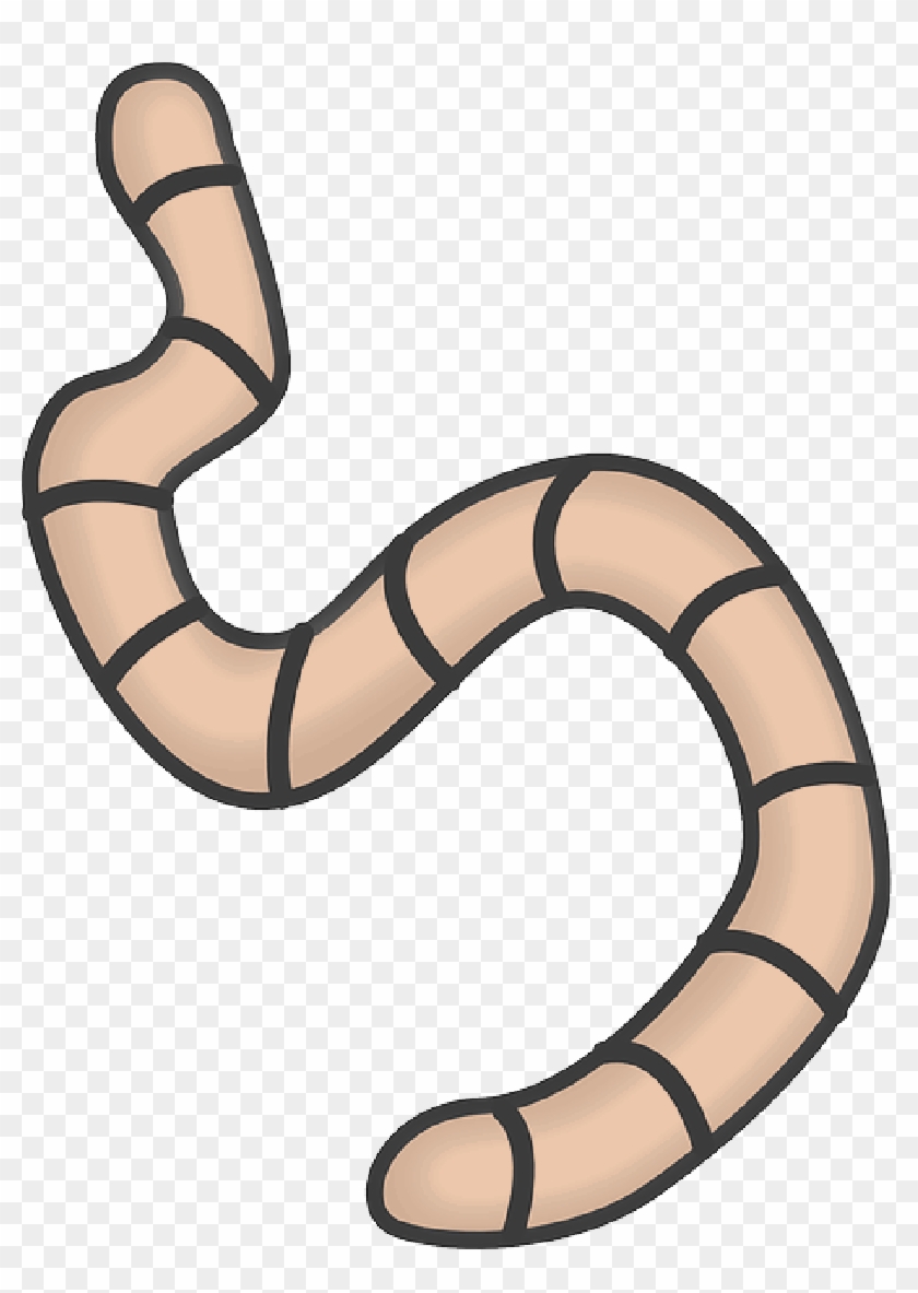 Worm Clipart Transparent Background , Png Download - Worm Clipart Transparent Background , Png Download #1543761