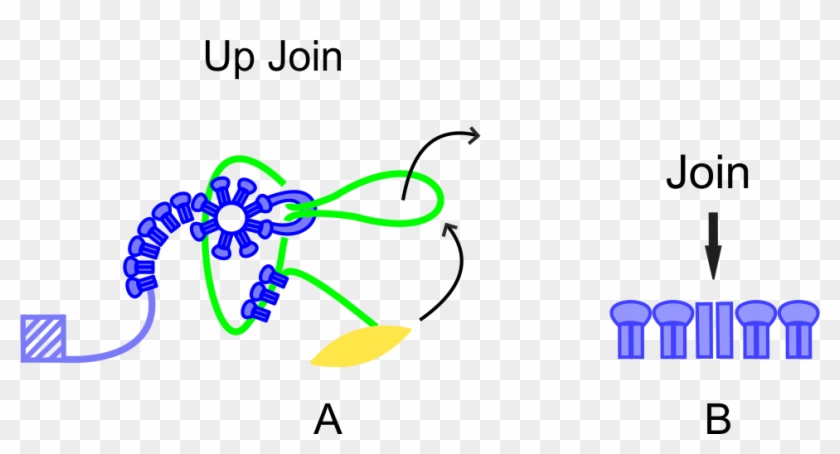 Join - Join #1544257