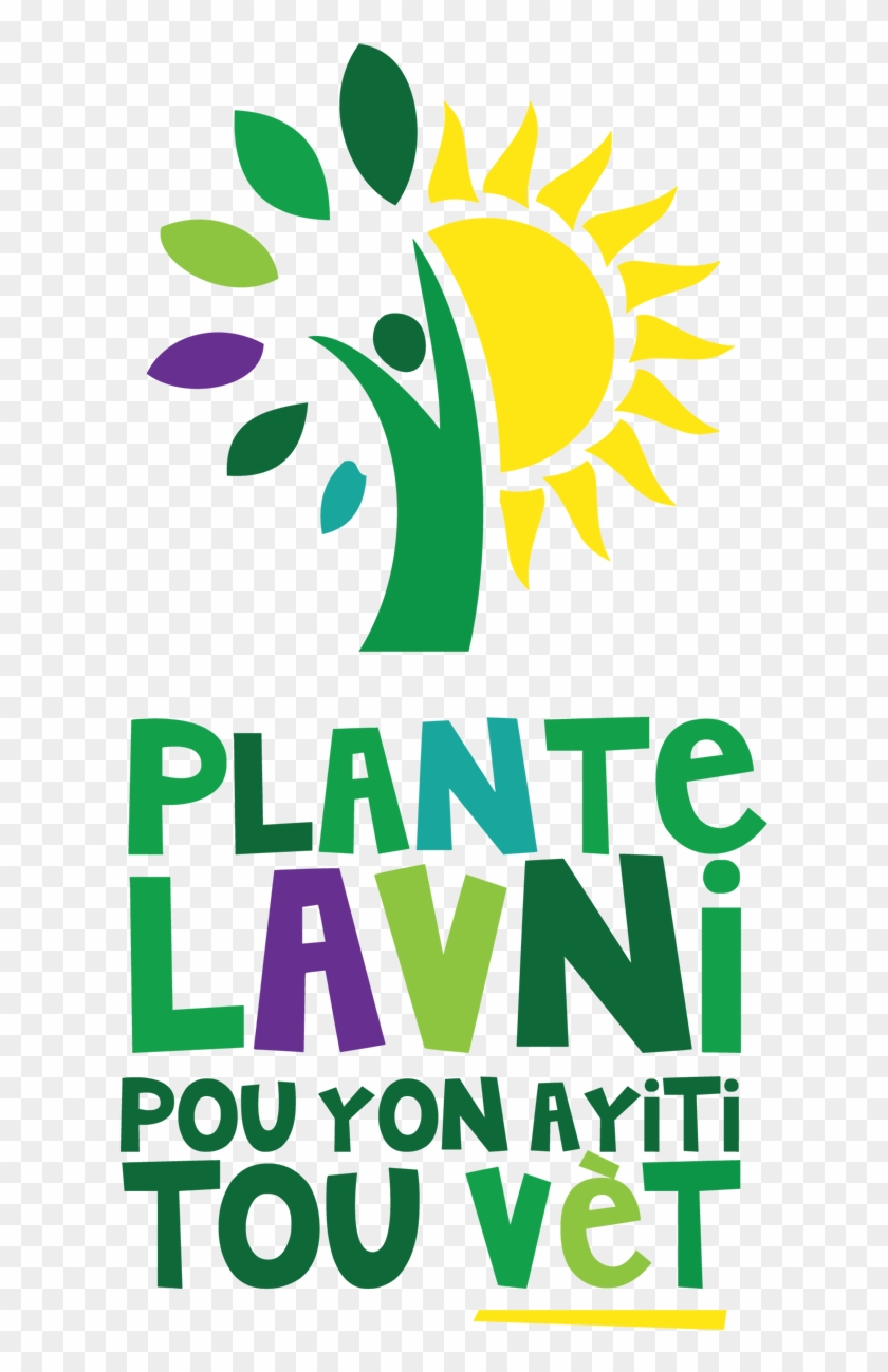 Haiti Reforestation - Haiti Reforestation #1545022