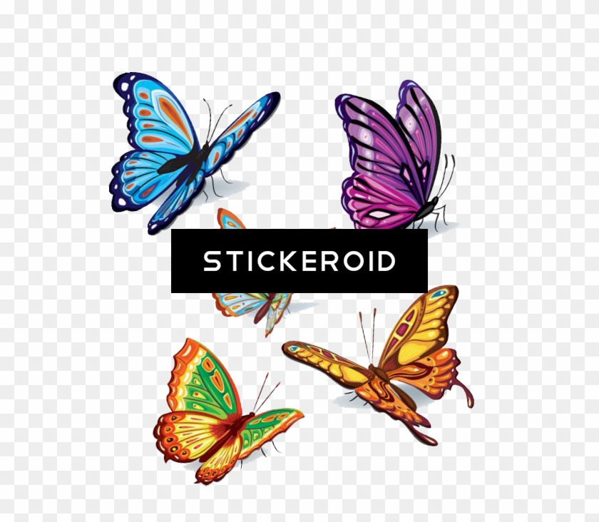 Butterflies Vector Butterfly - Butterflies Vector Butterfly #1545261
