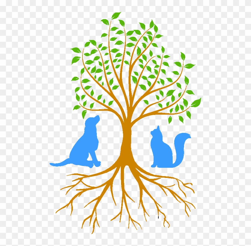 Beaver Brook Animal Hospital Tree Of Life - Beaver Brook Animal Hospital Tree Of Life #1545297