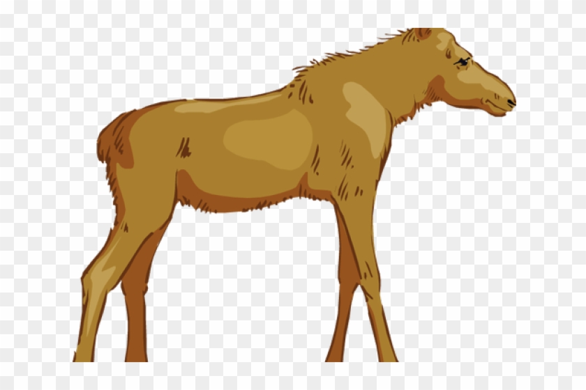 Moose Clipart Canada - Moose Clipart Canada #1546154