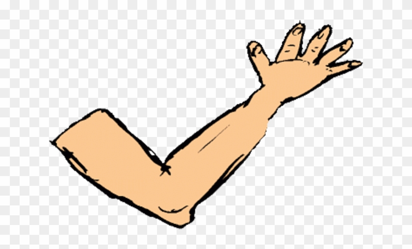 Arms Clipart Body Part - Arms Clipart Body Part #1546720
