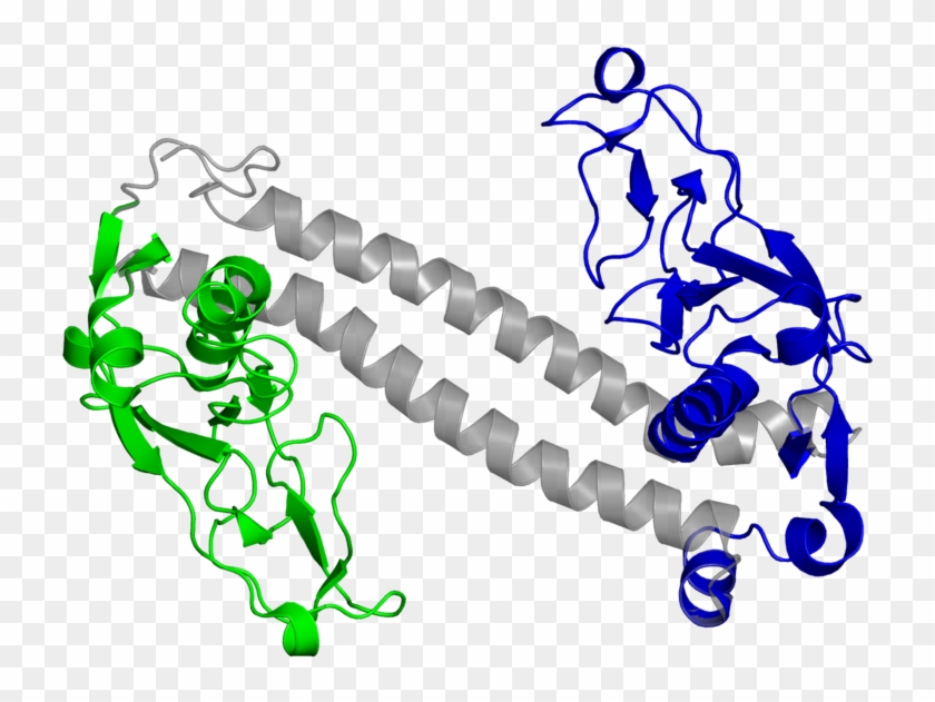 <div Class='caption-body'>2 Copies Of Cath Domain - <div Class='caption-body'>2 Copies Of Cath Domain #1547553