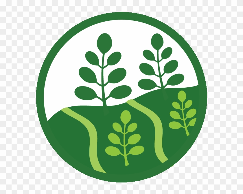 Agriculture - Agriculture #1547568