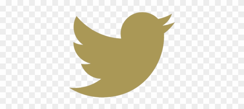 Get Social With Us - Get Social With Us #1547950