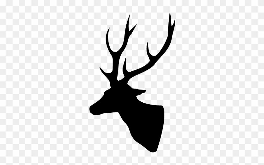 Wildlife Conservation - Wildlife Conservation #1548132