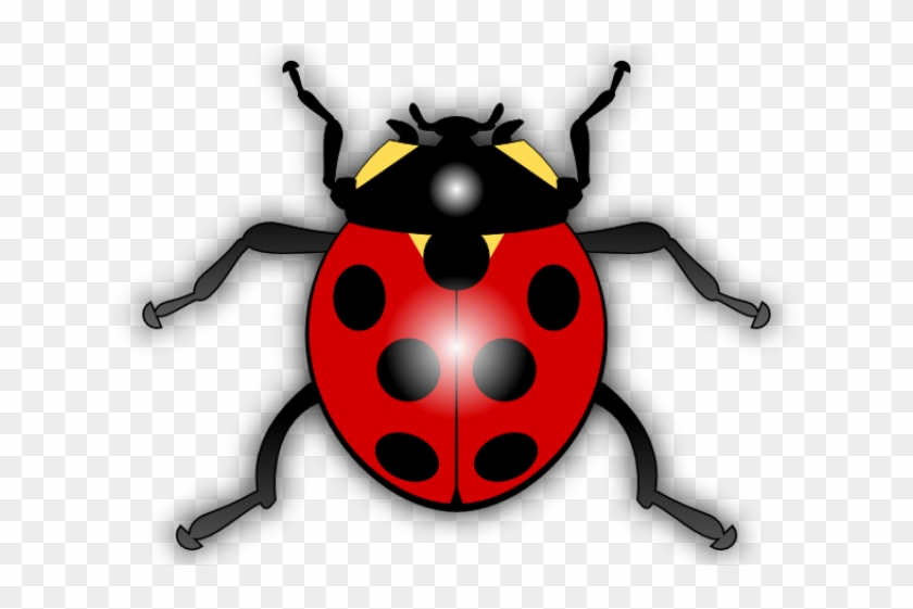 Legz Clipart Cartoon Bug - Legz Clipart Cartoon Bug #1548187