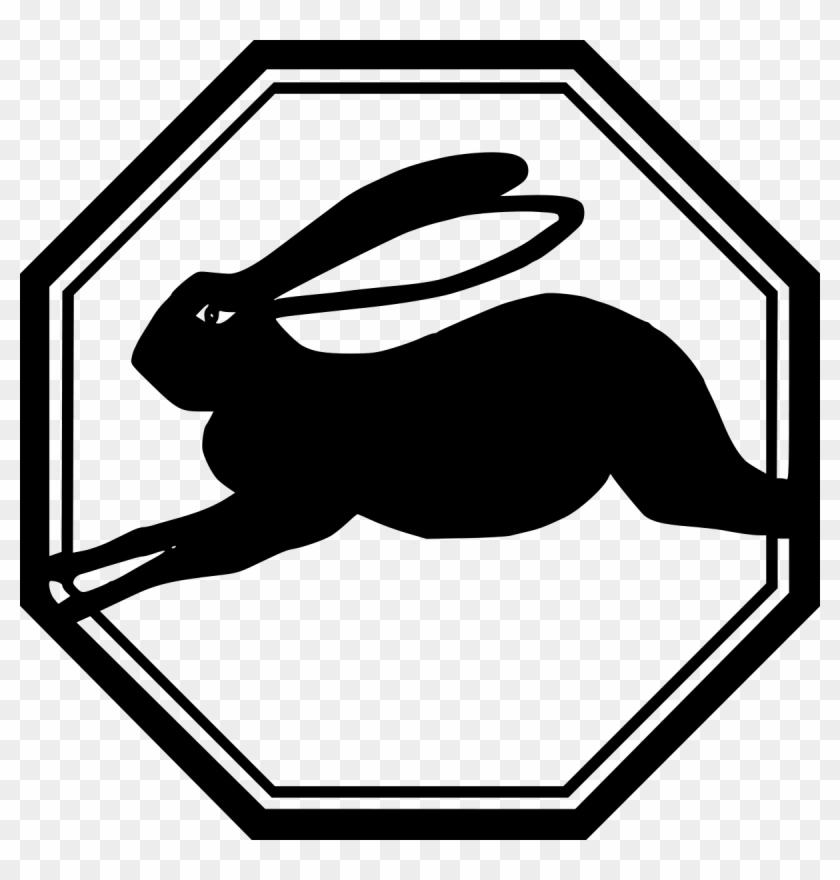 Rabbit - Rabbit #1548213