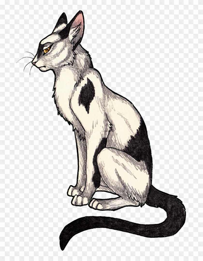 Revenge Drawing Transparent - Revenge Drawing Transparent #1548552