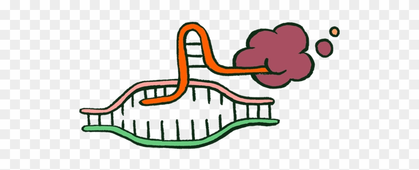You Don T Know Gmos Its Surprisingly - You Don T Know Gmos Its Surprisingly #1548692