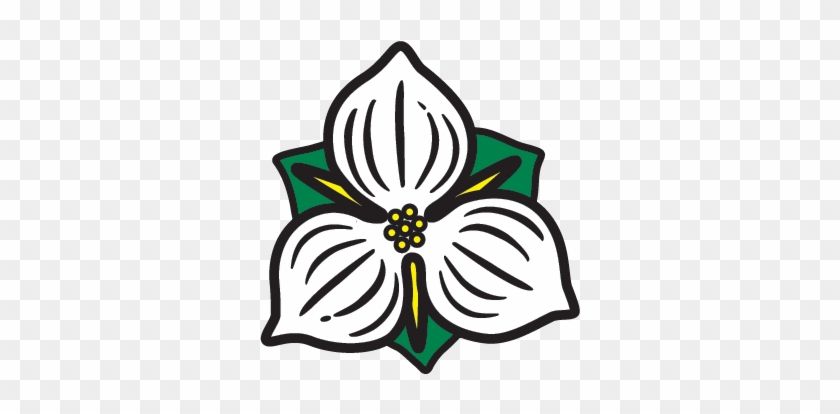 Niagara-trillium - Niagara-trillium #1549604