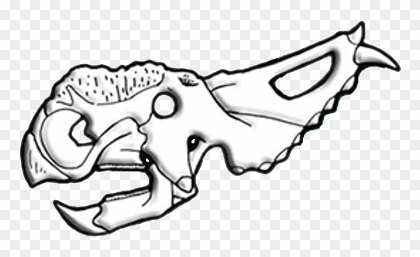 Pachyrhinosaurus Skull Diagram - Pachyrhinosaurus Skull Diagram #1549954