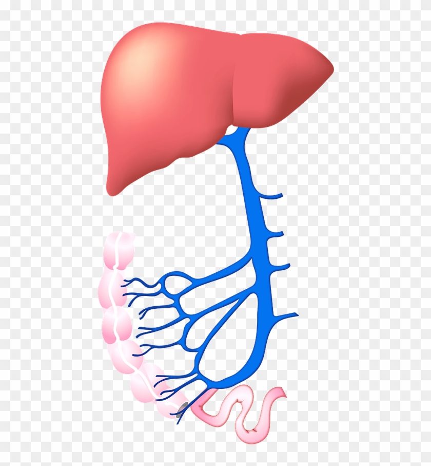 Causes - Causes #1549992