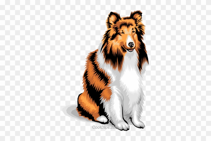 Dog/collie Royalty Free Vector Clip Art Illustration - Dog/collie Royalty Free Vector Clip Art Illustration #1550693