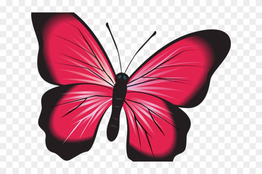 Symmetry Clipart Nature Clipart - Symmetry Clipart Nature Clipart #1550830